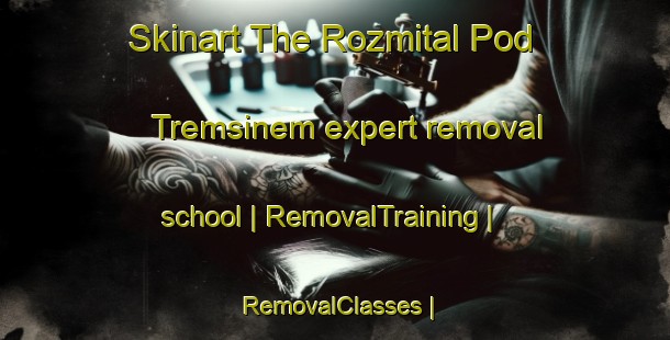Skinart The Rozmital Pod Tremsinem expert removal school | RemovalTraining | RemovalClasses | SkinartTraining-Czech Republic